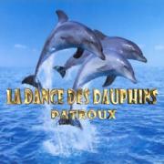 la-dance-des-dauphins.jpg